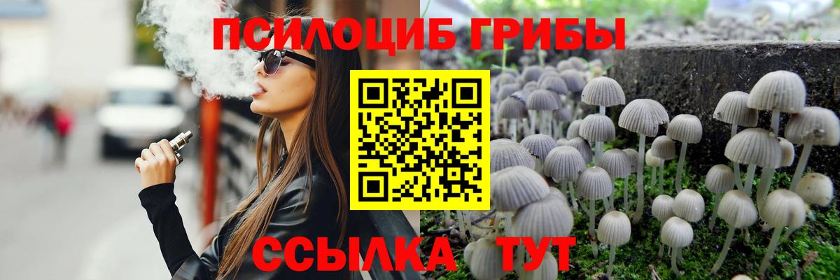 Галлюциногенные грибы Psilocybe Ртищево