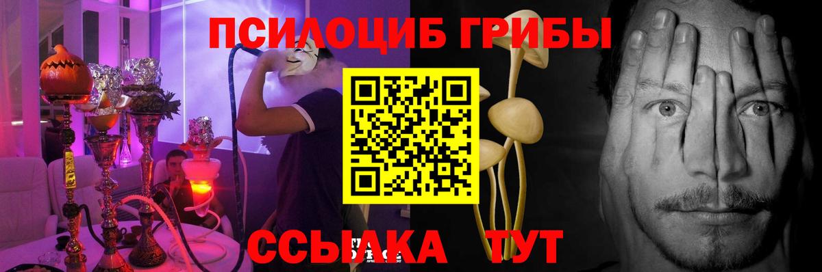 Галлюциногенные грибы Magic Shrooms  Галлюциногенные грибы прущие грибы  Вход с VPN  Ртищево 